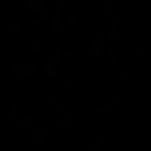 Meet your Posher, Dahlia